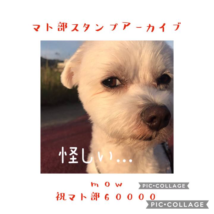 4d52aa73 f569 4b3b b4f6 484b1b668c3d 1578660084837