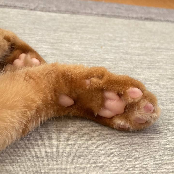 4d52b038 7311 4747 a9a9 fd728b22a221 1759972634163