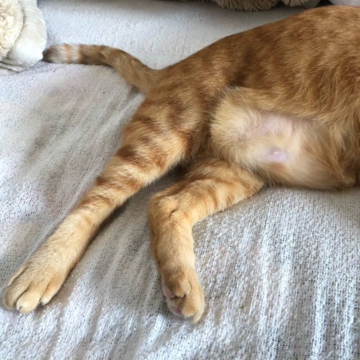 4d52b942 f632 43e2 b5f5 673f48269769 1620193573519