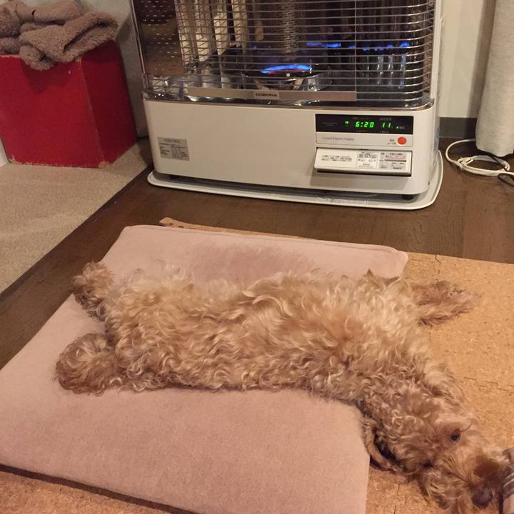 4d5320a8 7adb 42be b991 ed708d19ebdb 1516656082226