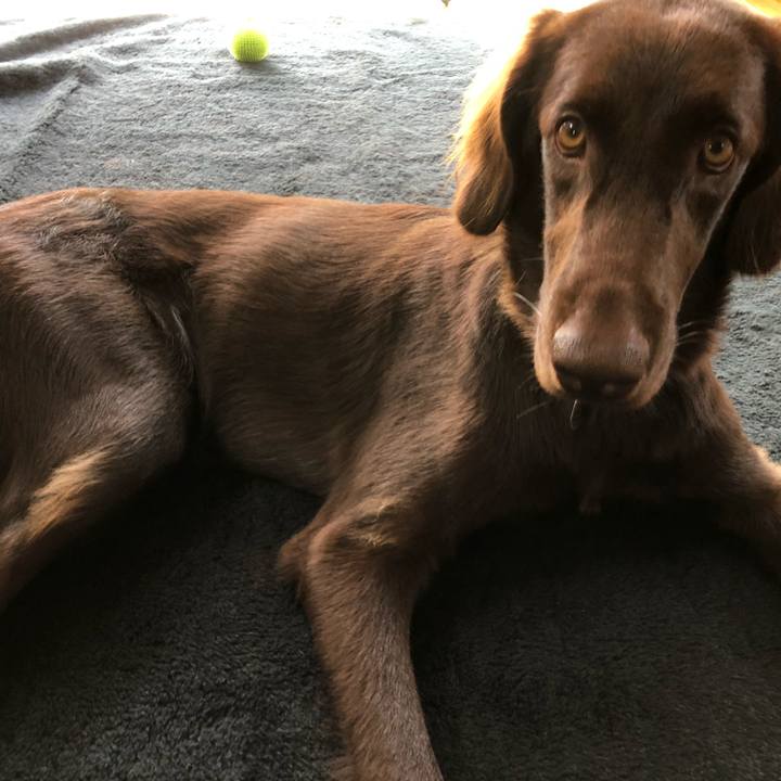 4d532c4e b6df 4ec4 ab6a 6ac28589d497 1570078822739