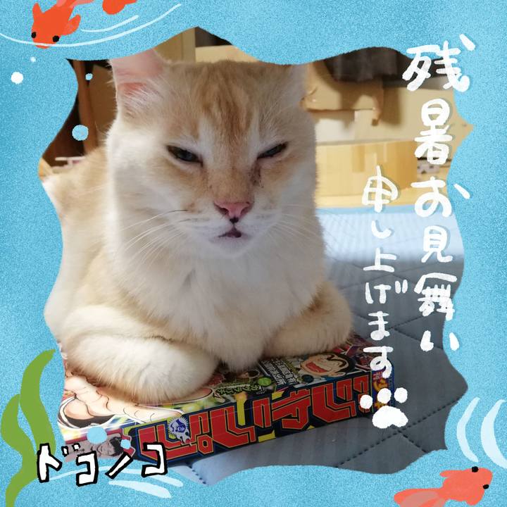 4d5398c6 7933 48d2 a832 9ee709bf09ba 1723637161607