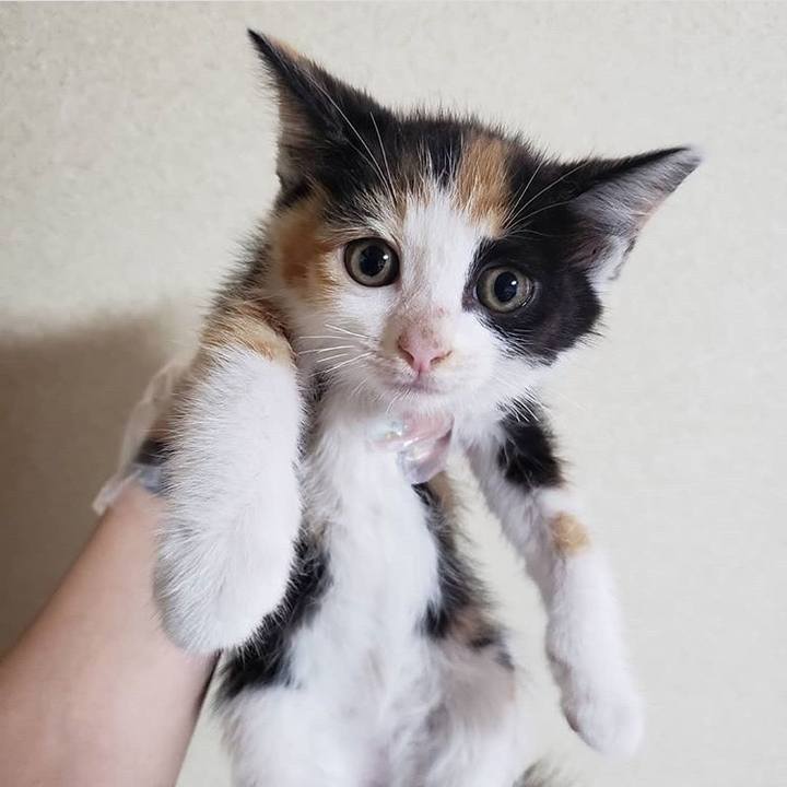 4d53cf68 4934 4452 9b34 35ad2e6c0930 1561877964191