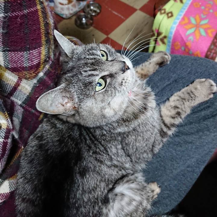 4d544755 50d8 48f6 8be3 ea9f7935f57e 1578088860415