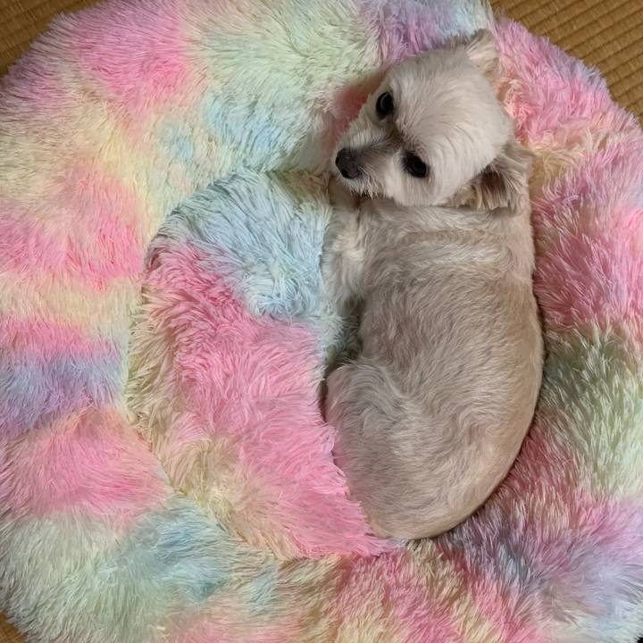 4d54586d 9615 4ac9 883c 96fea999fd30 1632740654962