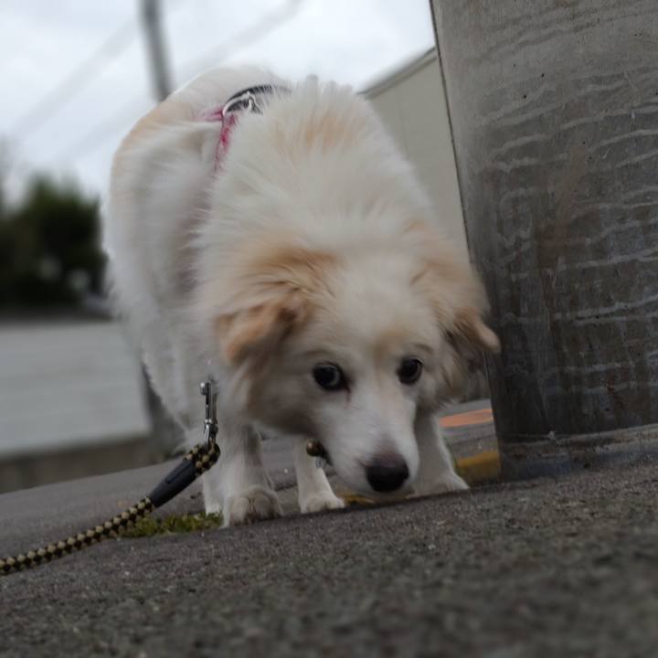 4d54779d 3be6 45f6 8e79 9cf4d768eadd 1648609681662