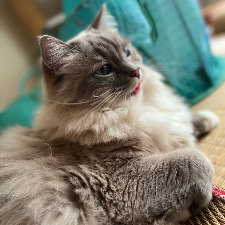 4d547a55 4662 442c 8387 e60ae0aa07d2 1646738085503