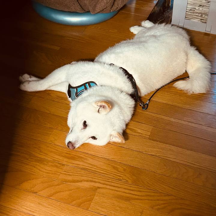 4d549e49 056e 4b1b 892a aecc8bbcaa33 1725484501652