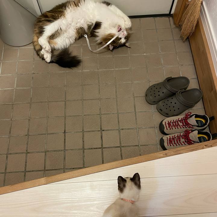 4d54ab23 abbf 4b64 9afa 87c42c1129e8 1696449105674