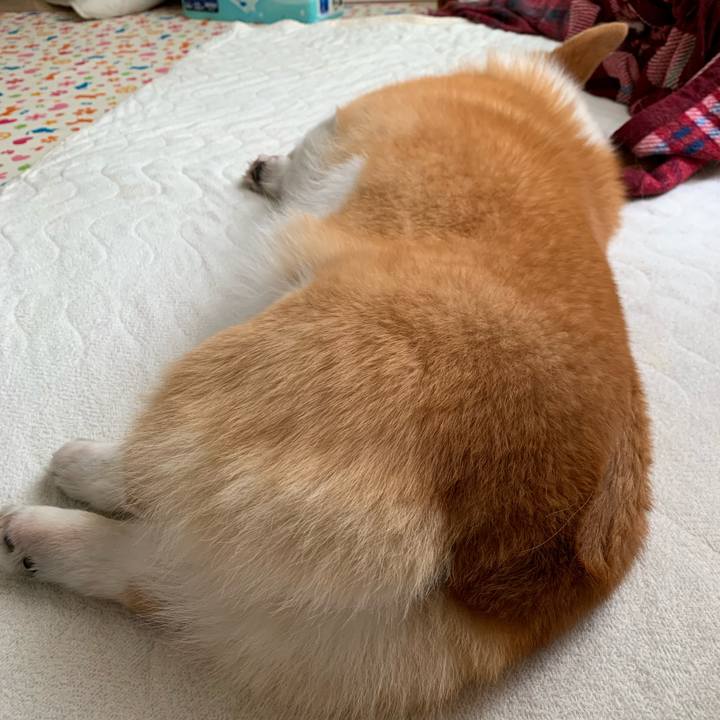 4d54ddff 28d8 41c9 b772 9d62966ec31f 1589768022723