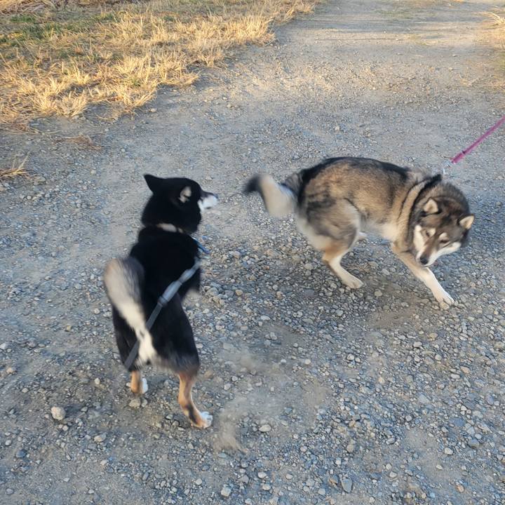 4d551f09 3049 4fb0 9b38 3e5fc6dac85b 1765589495473