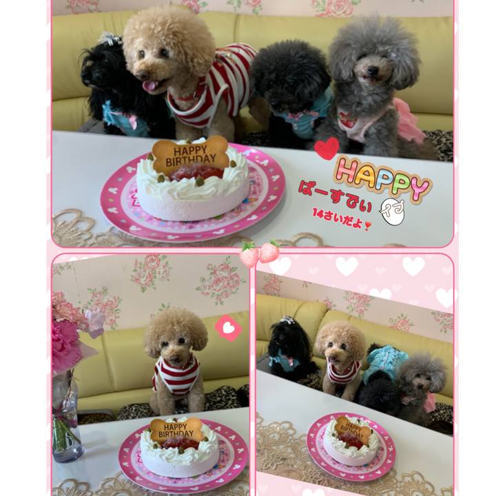 4d557476 ccc9 4c46 bffb d02c6f5063d2 1585472955261