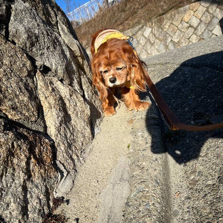 4d55e9cc bee7 4c88 96f9 b0a2214c138b 1771465629041