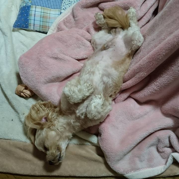 4d55ecf8 8bc8 4885 b222 ed4664f93272 1509804203255