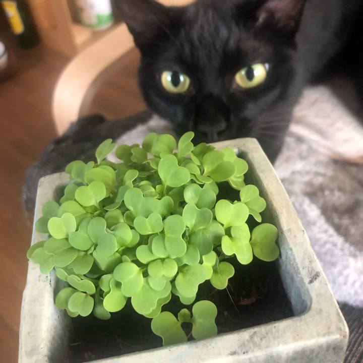 4d561227 6d1c 47de 931d e7cff8a74387 1657287415980