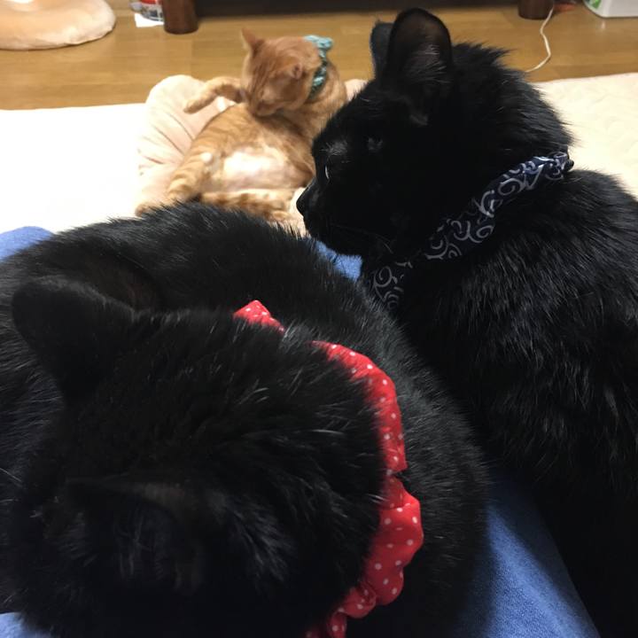 4d565aff a756 413b 8971 6b9ac9a7f35e 1547123028684