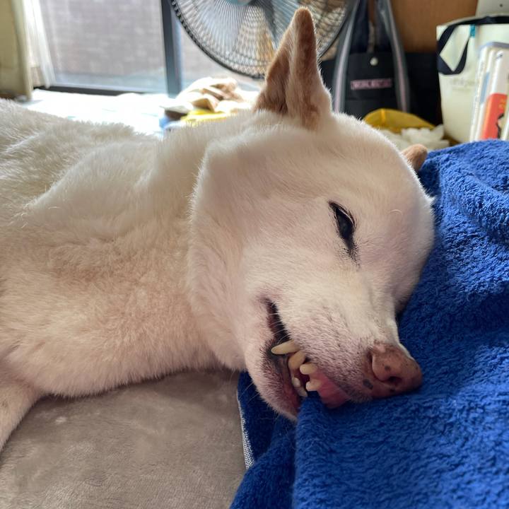 4d565d71 4904 44b0 98a4 6cf24a9117f5 1636854883202