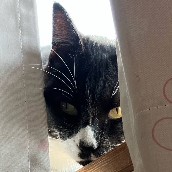 4d56b6ff 99c0 477b bdf0 85657ee36918 1672198352283