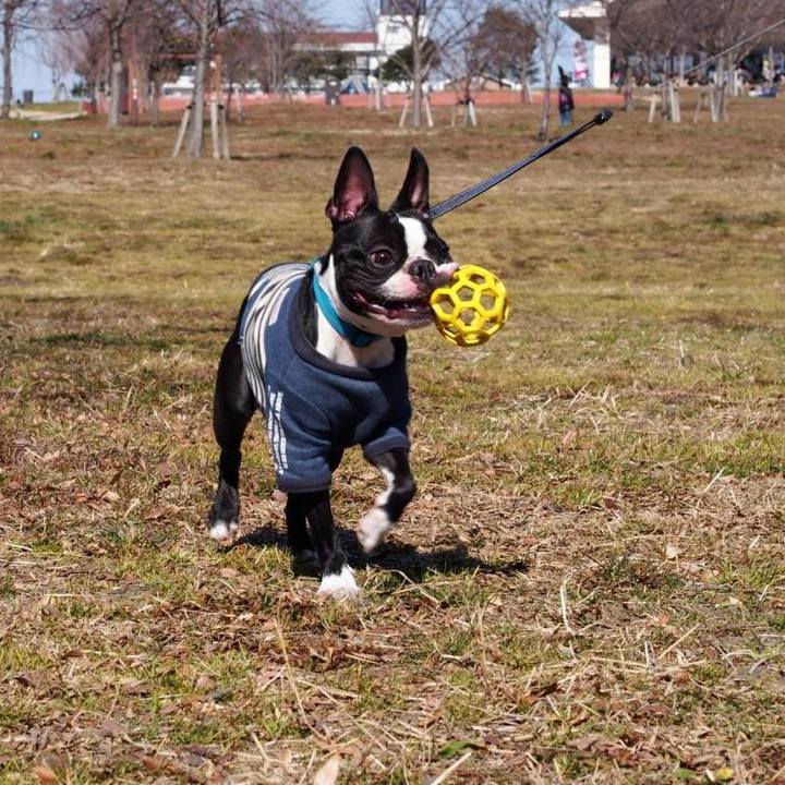 4d56e7f6 3d79 4ad3 a70f fe6a87835a89 1549174052891