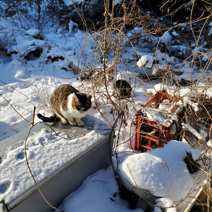 4d571a1d 832f 4f8f 985c be233903dd71 1744271371900