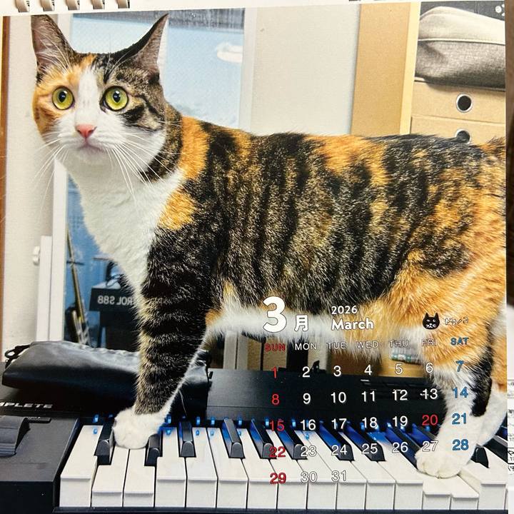 4d5736c8 7812 4ce4 b9cd 674e4530edcc 1772413022929