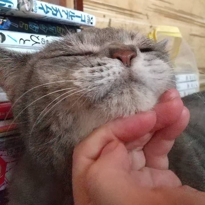 4d573c8b 2d0c 47da a287 d19713fb4abe 1628204044566