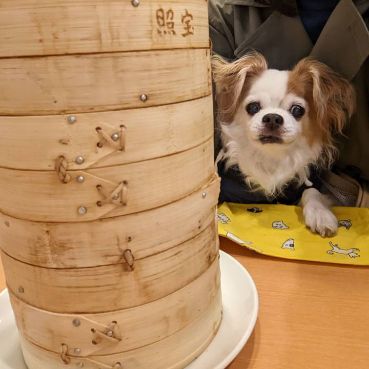 4d57a682 1370 4695 9b23 9f37960a04e1 1648264714997