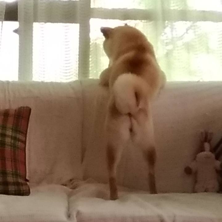 4d57c4d4 cc6d 42e2 b105 cb80b28865d9 1538964476360