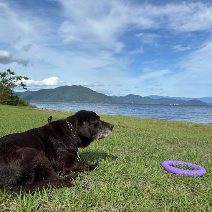 4d57cb59 7df8 4e30 98e8 9c0b519a748f 1758627478420