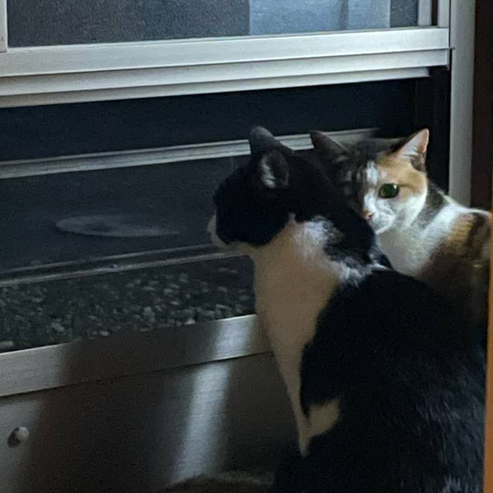 4d583540 f3df 419a 94f1 6d980c8e3b91 1714331350084