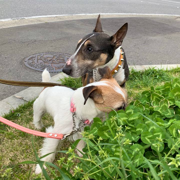 4d5868e6 4f2b 465a bee8 3cacda490850 1587900184285