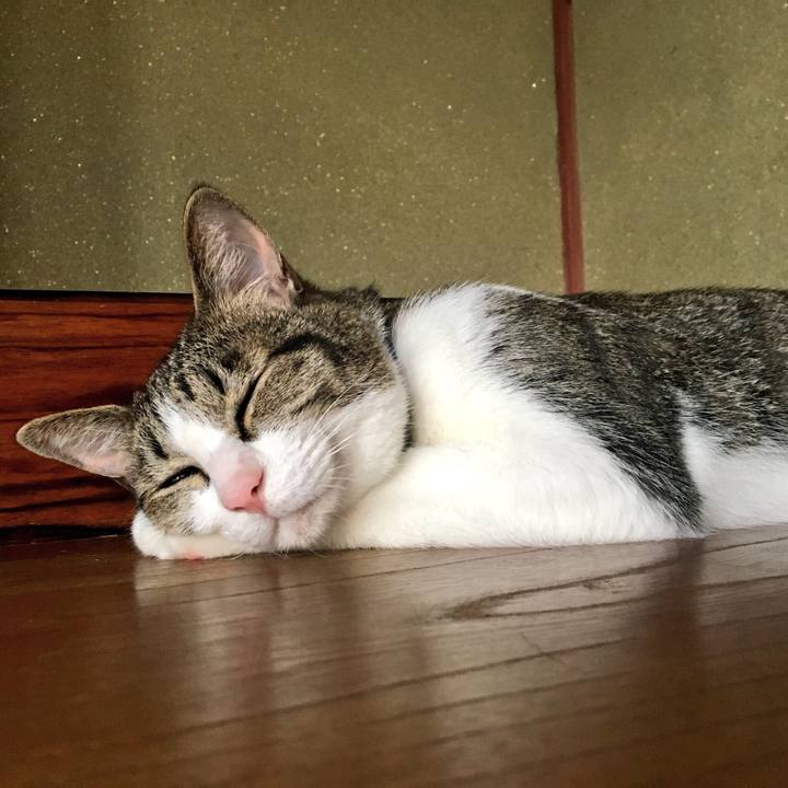 4d58aa6b 8c3f 4af5 b1e8 671e372fbffb 1534551082326