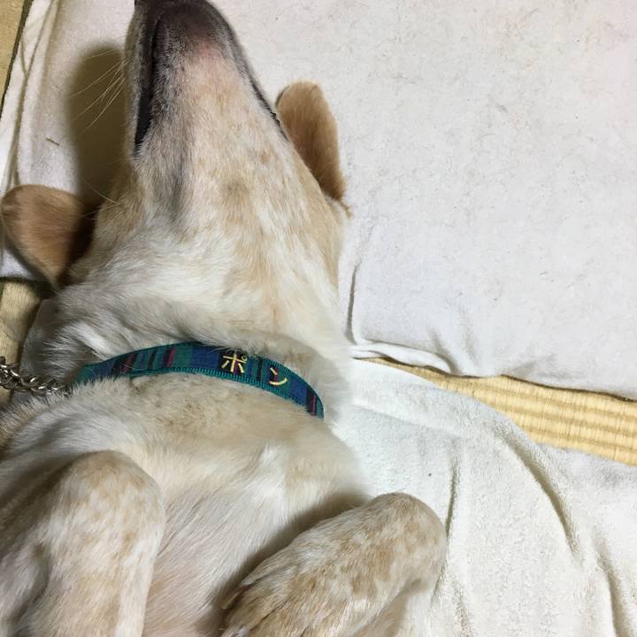 4d58afbe 3193 44f5 b285 c03c99e27b64 1529504749199