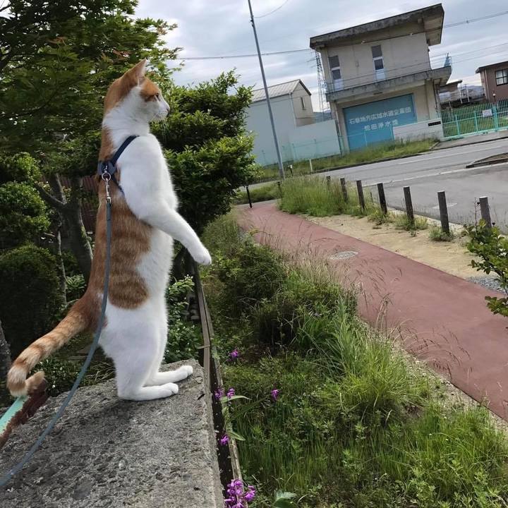 4d58b096 b74c 4af3 9f94 cf51bf579155 1588285904241