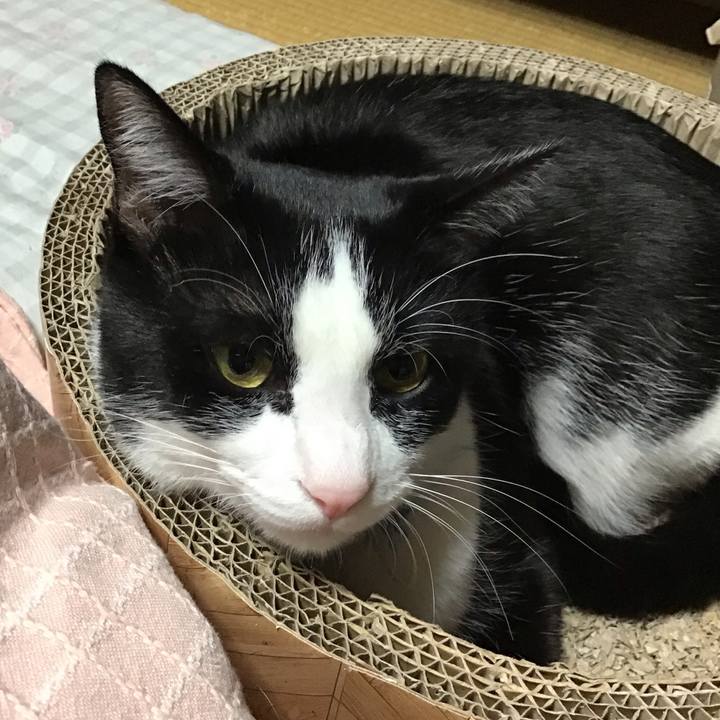 4d58bf06 52ec 4e95 bbc1 c2184fa9c666 1701516559502