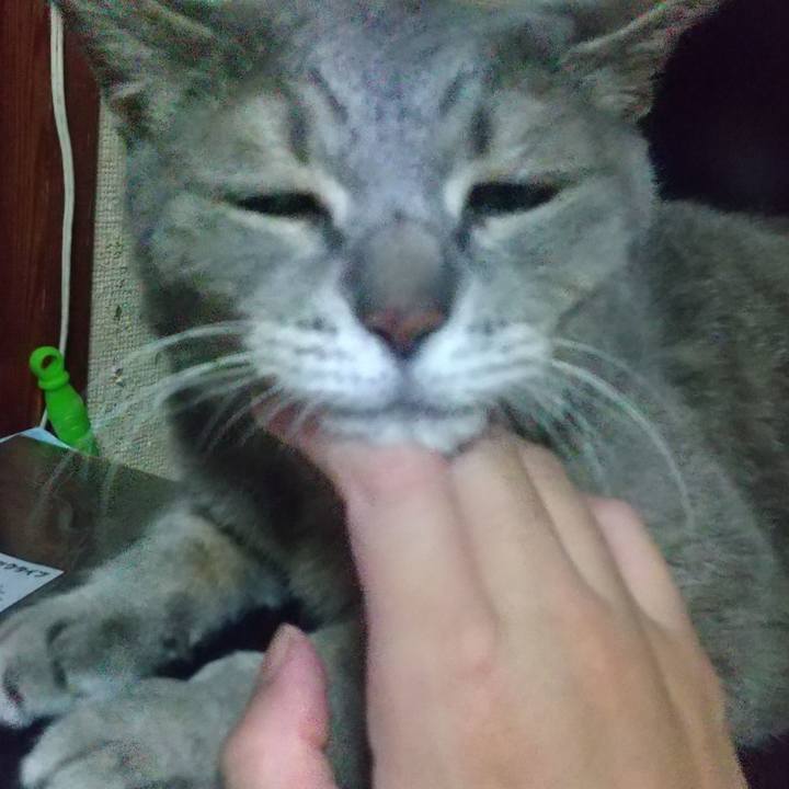 4d58d807 0766 44cb 9b0f aef804f26d5c 1694089128536