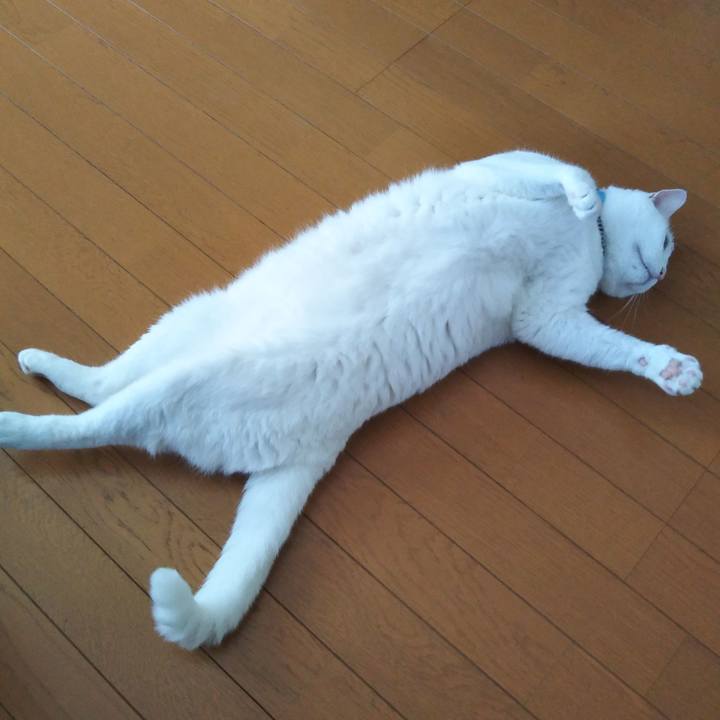 4d58f991 783c 4baa b4c0 ddd2a05da31b 1624948779361