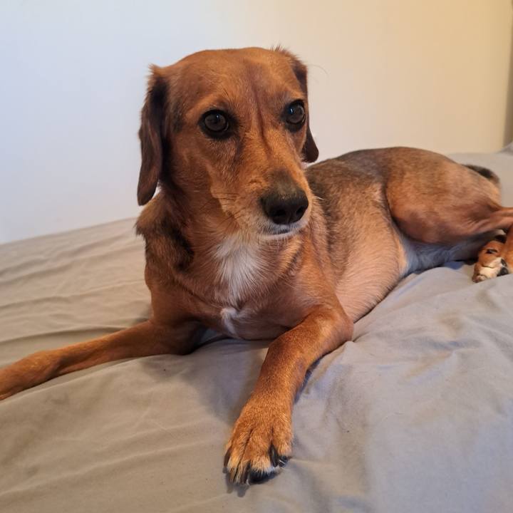 4d590153 acb7 4492 acf6 c3edd5ef1d5e 1767393114665