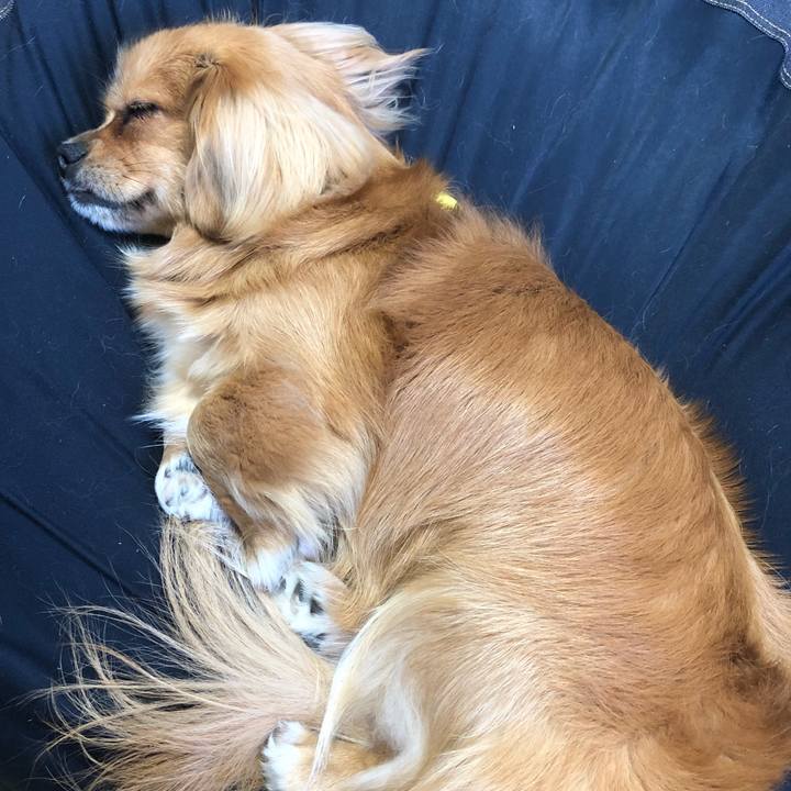 4d59280e 5027 4711 b7b0 98b915f1aa75 1526787194330