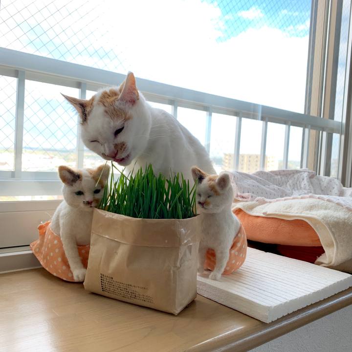 4d592de1 021b 4f23 b4b2 9eb615640838 1557232621889