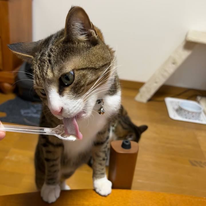 4d5966c2 657f 45e2 b45b c33407d602e4 1713450460148