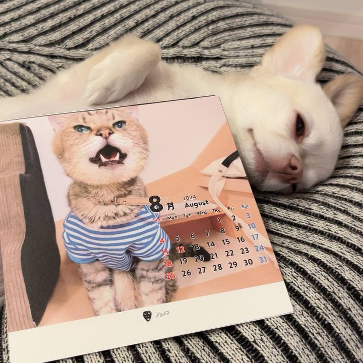 4d597d2c 97e5 45f8 bb0a 6d28c3890a0d 1722602190117