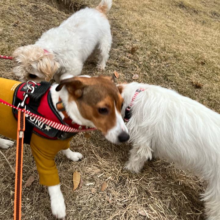 4d59b06e 3168 4636 bde9 4c8709006549 1705837901619