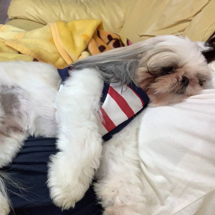 4d59b0d7 9b98 4705 833c 7e2c34e15a0c 1571751688172