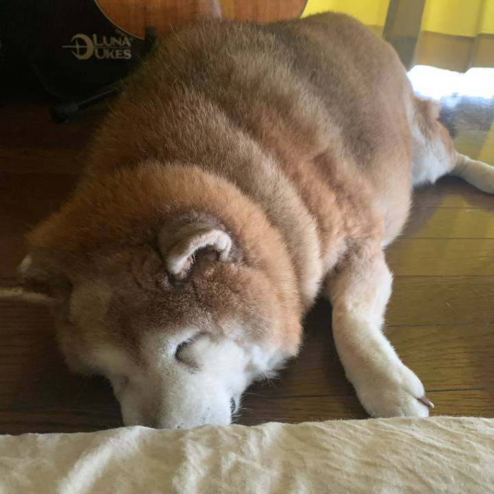 4d59fe80 c91f 41c0 b80f 09e2e5d3a0ff 1632179279073