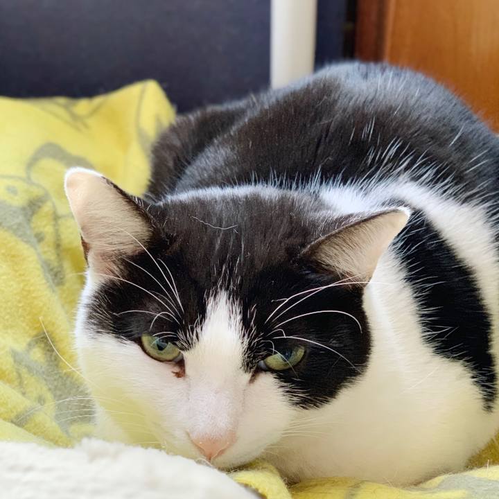 4d5a1294 30a2 46b7 b13d 9446fed83215 1548466986991