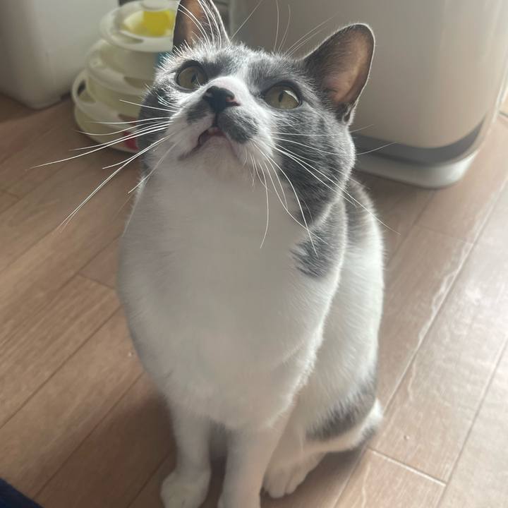 4d5aa4d3 b996 481a b9d4 b126fc22e385 1670725410761