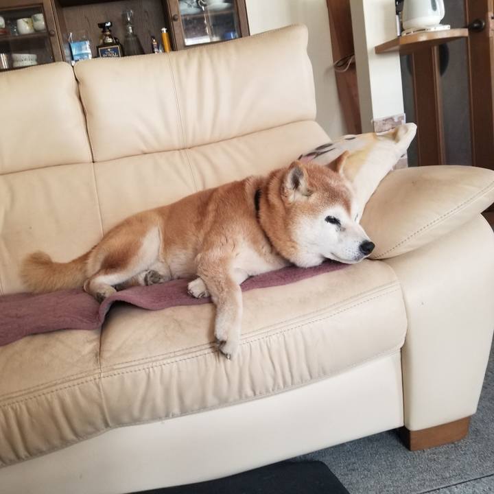 4d5aa6d3 c208 4a9e b2c7 d680e578d3bb 1743390708651