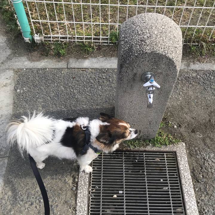 4d5ab9db 8113 4f2d b3ac 34b8f8ef5f22 1636249008934