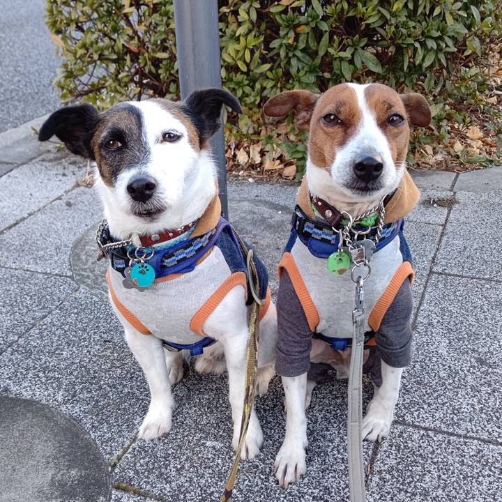 4d5abf8d d809 4a2f b3cd 67d81d823216 1644362801135